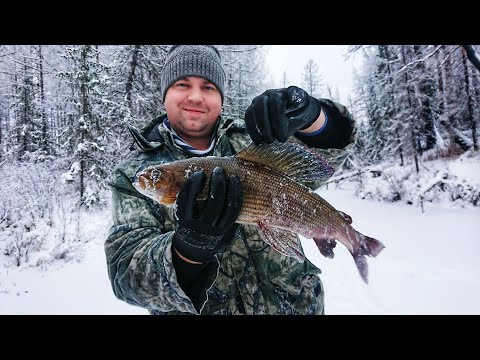 Видео: ХАРИУС на 1кг, на малой реке. #хариус#рыбалка