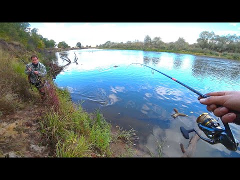 Видео: ВОТ ТАК! Приехал и ОБЛОВИЛ! Рыбалка на ЩУКУ, СУДАКА и ОКУНЯ осенью! Ловля на спиннинг! Ловля на джиг