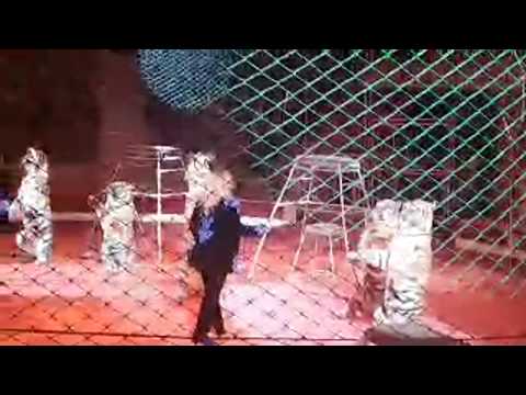 Видео: Цирк НОВОГОДНИЕ ЧУДЕСА В ТРИДЕВЯТОМ ЦАРСТВЕ 2 ЧАСТЬ