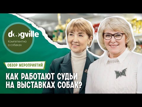 Видео: Как работает судья на выставке собак? – Все о работе судьи РКФ