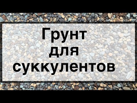 Видео: Грунт для суккулентов 💡