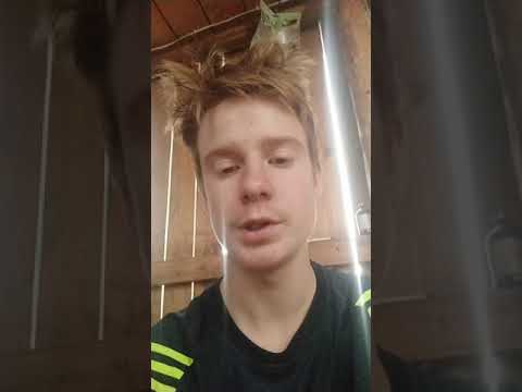 Видео: Прибыль с 1 быка За 1 год Откорма