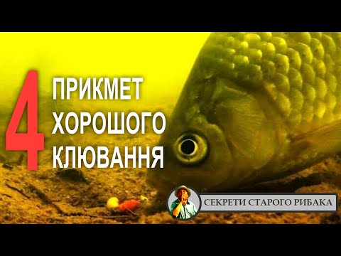 Видео: Коли клює краще. Рибацькі прикмети