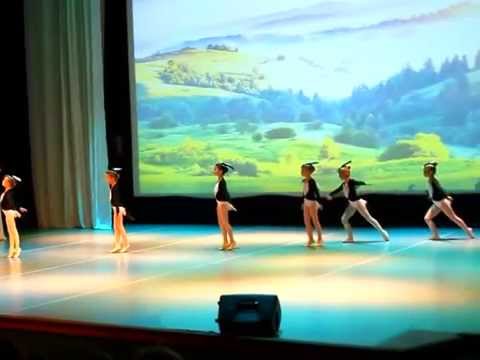 Видео: ласточки