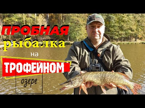 Видео: Короткая рыбалка на озере Трофейное