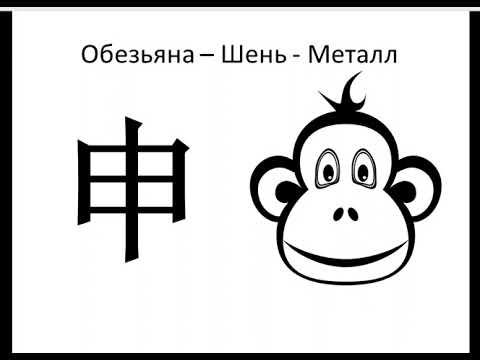 Видео: Обезьяна. 12 земных ветвей бацзы. Особенности и характер