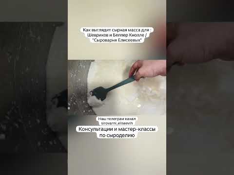 Видео: Как выглядит сырная масса для :Шевриков и Белпер Кнолле / "Сыроварня Елисеевых"