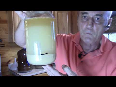 Видео: КАК СОБИРАТЬ ДРОЖЖИ ДЛЯ ПОВТОРНОГО ИСПОЛЬЗОВАНИЯ