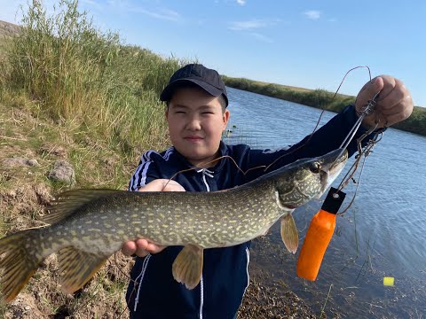 Видео: /Рыбалка на р.Куланотпес/Рыбалка в Казахстане/Рыбалка в Астане/