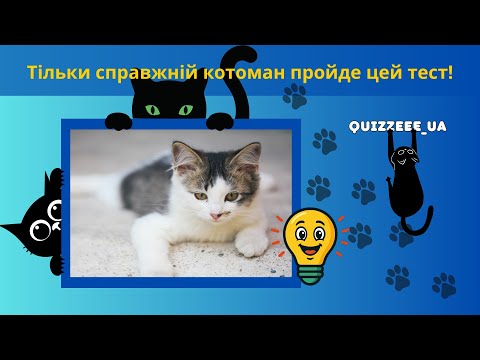 Видео: Тест: Вгадай породу кота 🐱 за фото!