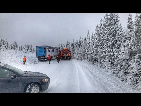 Видео: НЕ ВЗЯЛ ПОДЪЁМ И ОСТАЛСЯ НА ГОРЕ. Часть 3