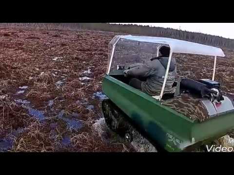 Видео: Ездили разведкой на болото