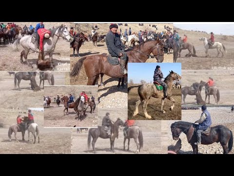 Видео: #улуттукспорт#кокбору#балбан# улак Базар-Коргон улак алдынан балбан сыноо