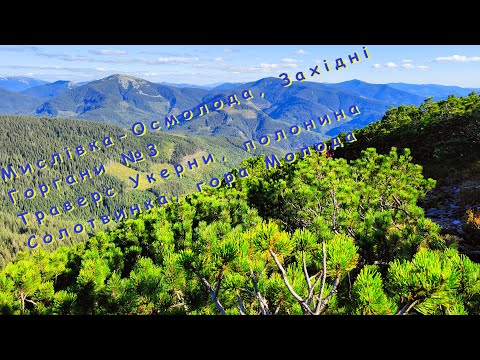 Видео: Мислівка Осмолода, Західні Горгани №3  Траверс Укерни, полонина Солотвинка, гора Молода