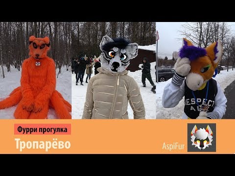 Видео: Фурри прогулка в Тропарёво/они на деревьях