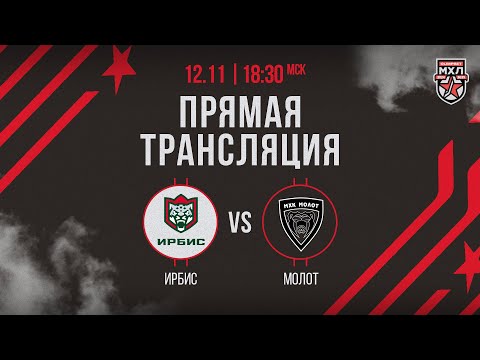 Видео: 12.11.2024. «Ирбис» – МХК «Молот» | (OLIMPBET МХЛ 24/25) – Прямая трансляция