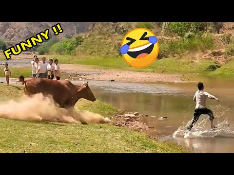 Видео: Самые безумные и смешные видео в мире. УРОВЕНЬ 32. Уморительные видео. Попробуй не засмеяться. Че...
