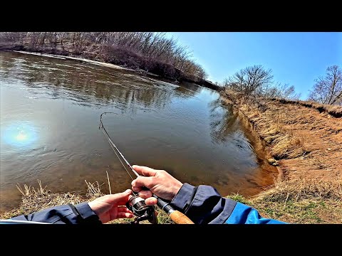 Видео: Открылись по белому хищнику с берега. Поставил эту приманку и сразу клюнул он! #срыбалки