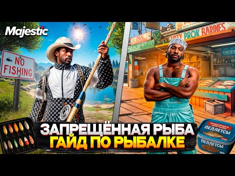Видео: ГАЙД по ЗАПРЕЩЁННОЙ РЫБАЛКЕ на MAJESTIC RP 2025! ЧТО ВЫГОДНЕЕ ФАРМИТЬ на GTA 5 RP?