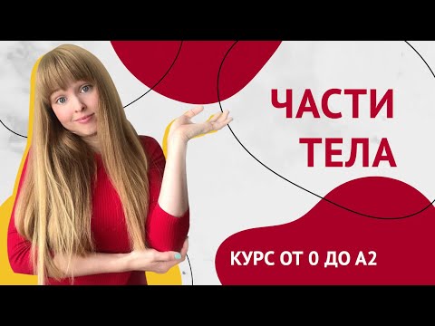 Видео: Части Тела на Испанском. Урок 18 [Курс Испанского Языка]