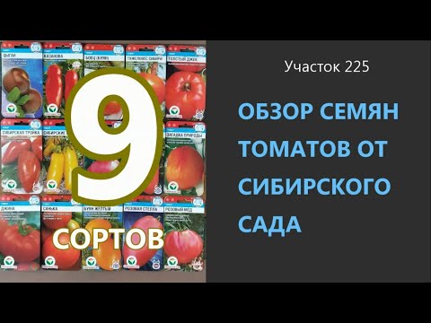 Видео: Семена томатов от Сибирского сада. Проверено на грядке.