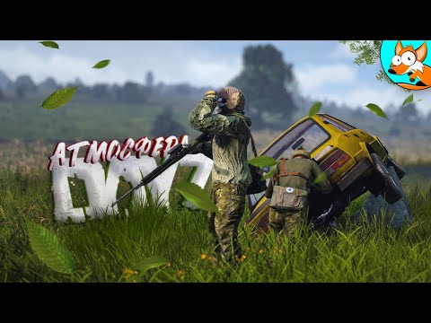 Видео: Атмосферное приключение в DayZ