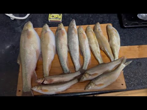 Видео: Маринка Кора Гунон Сой 2 март 2025 г.