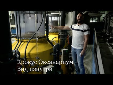 Видео: Океанариум изнутри  Чего вы никогда не видели