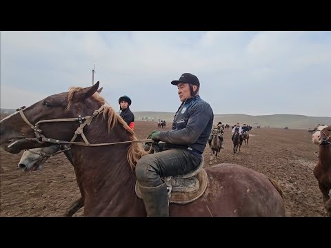 Видео: Байыш Ниязовдун салымдары💥 Тилла куш жана Станбул менен.