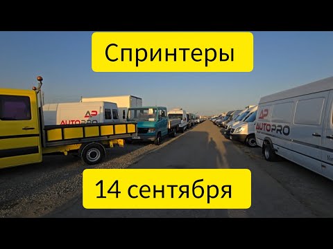 Видео: Авторынок Бишкека на 14 сентября.спринтеры.