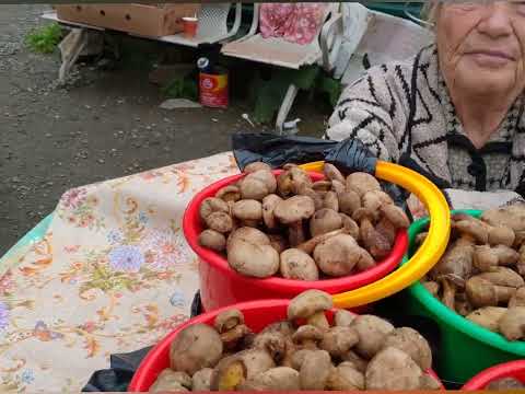 Видео: Отпуск на Сахалине. Янтарь. Бухта Тихая. Пудель на сапе. Открытие портала. Крабы!