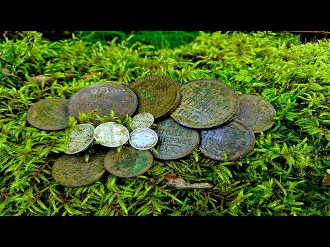 Видео: НАШЛИ царский КОШЕЛЁК. КОП в ЛЕСУ