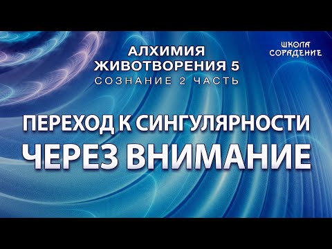 Видео: Переход к сингулярности через внимание #Гарат #АЖ5  #Сознание #ЖивыеСеминары #школаСорадение