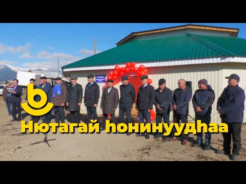 Видео: Нютагай hонинуудhаа  Хурамхаанай аймагта баяр