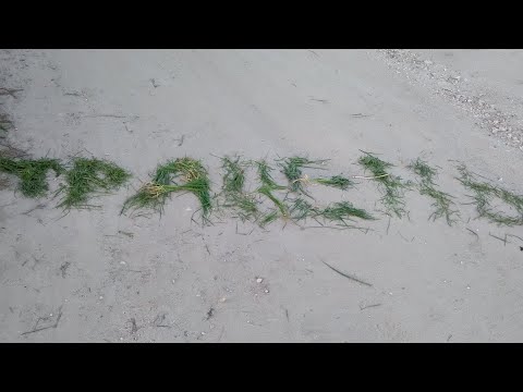 Видео: №1 Природа у травні