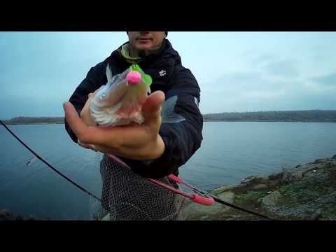 Видео: КЛАССНАЯ РЫБАЛКА НА СУДАКА