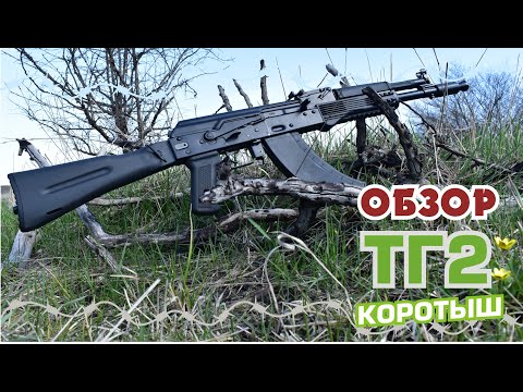 Видео: ТГ 2 366ткм КОРОТЫШ! ОБЗОР (tg2)