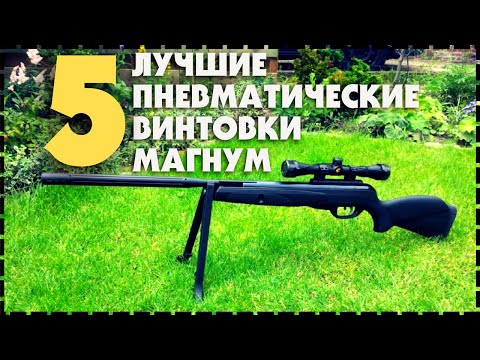 Видео: Топ 5 Самых Мощных И Популярных Переломных Пневматических Винтовок Класса МАГНУМ!