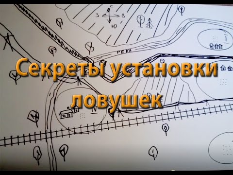 Видео: Ловля Роёв ! Секреты установки ловушек!