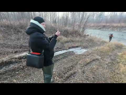 Видео: 2025.10.25. Рыбов нет.