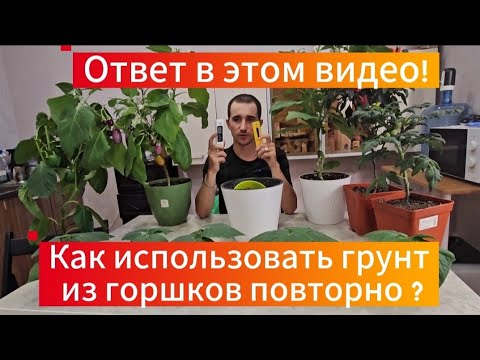 Видео: Повторное использование и обработка грунта из комнатных горшков-растений !