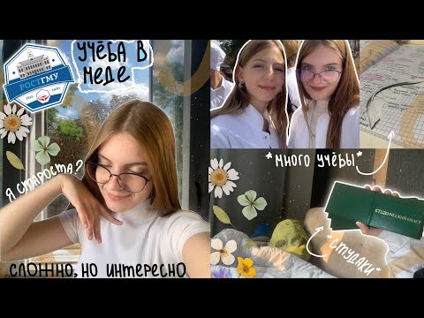 Видео: первые дни в мед. университете || 1 курс студента-медика || vlog
