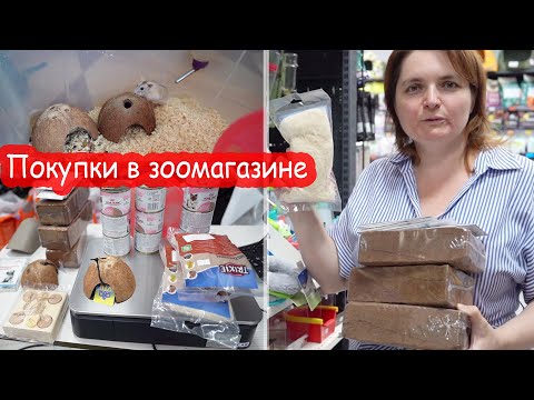 Видео: VLOG Купили пол зоомагазина. Мурке плохо