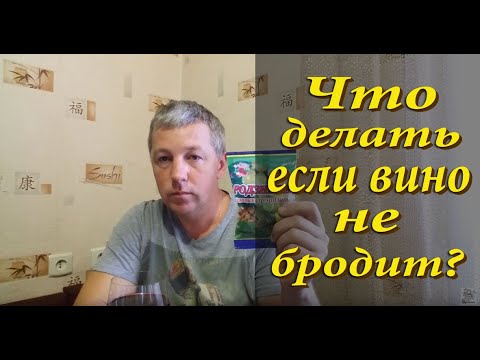 Видео: Что делать если вино не бродит? / Как запустить брожение вина!