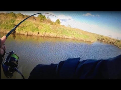 Видео: Ловля ЩУКИ весной на МАЛОЙ РЕКЕ!!! ВОБЛЕР НА ЩУКУ!!! Рыбалка в Мае на спиннинг!!!