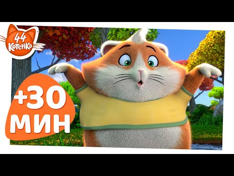 Видео: 44 Котёнка | 30 МИНУТ замурчательных моментов | Сборник 1
