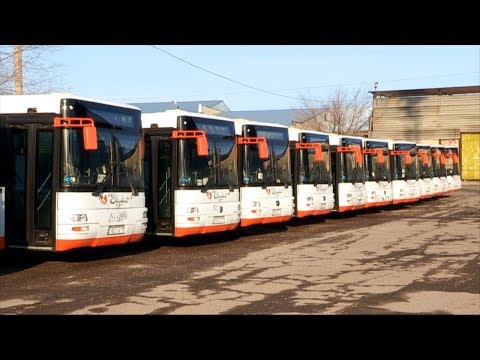 Видео: Шымкентте 10 метрлік автобустар бағытқа шығады