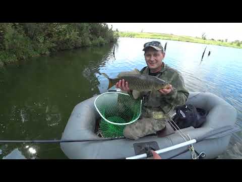 Видео: ПОДПИСЧИК В ШОКЕ ОТ ТАКОЙ РЫБАЛКИ | БОКОВОЙ КИВОК РУЛИТ!