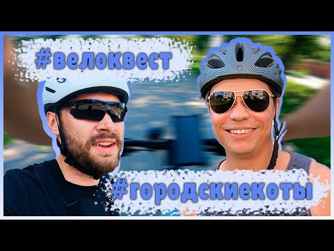 Видео: Участвуем в велоквесте "Городские коты 2024". Круто или ..?