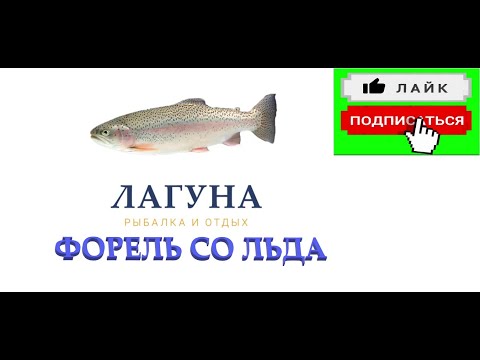 Видео: ОЗ. ИГУМНОЕ ФОРЕЛЬ СУТКИ РЫБАЧИМ !